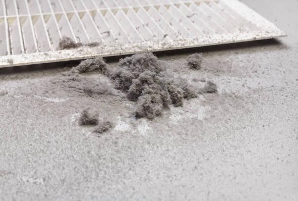 Best Air Duct Cleaning Company Near Me  in Sturgeon, PA